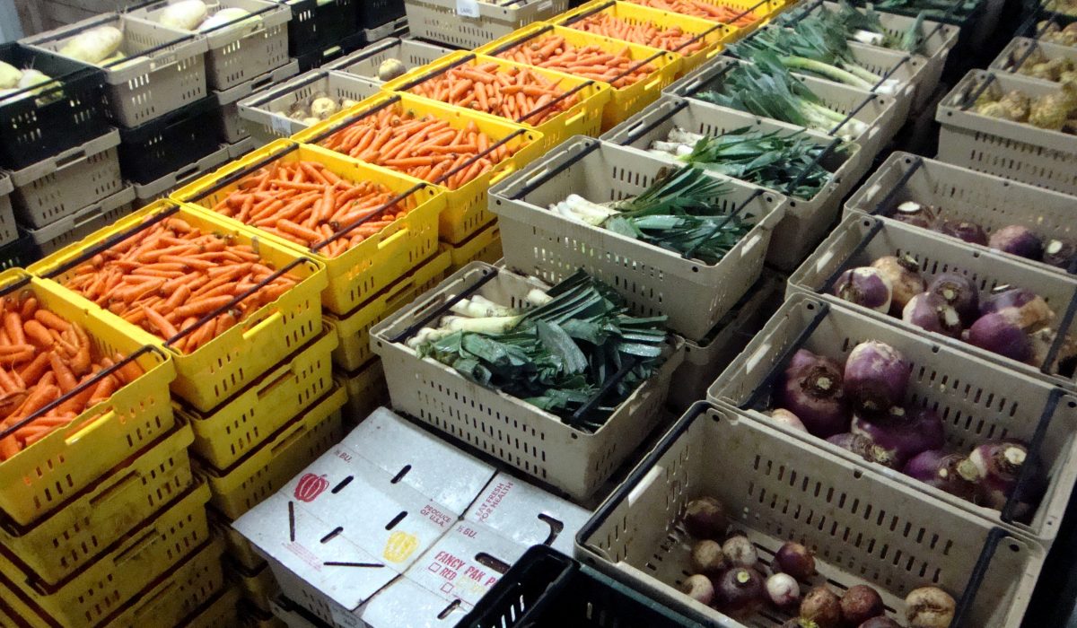 Складные контейнеры для продуктов: преимущества и особенности